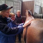HolisticHorseworks