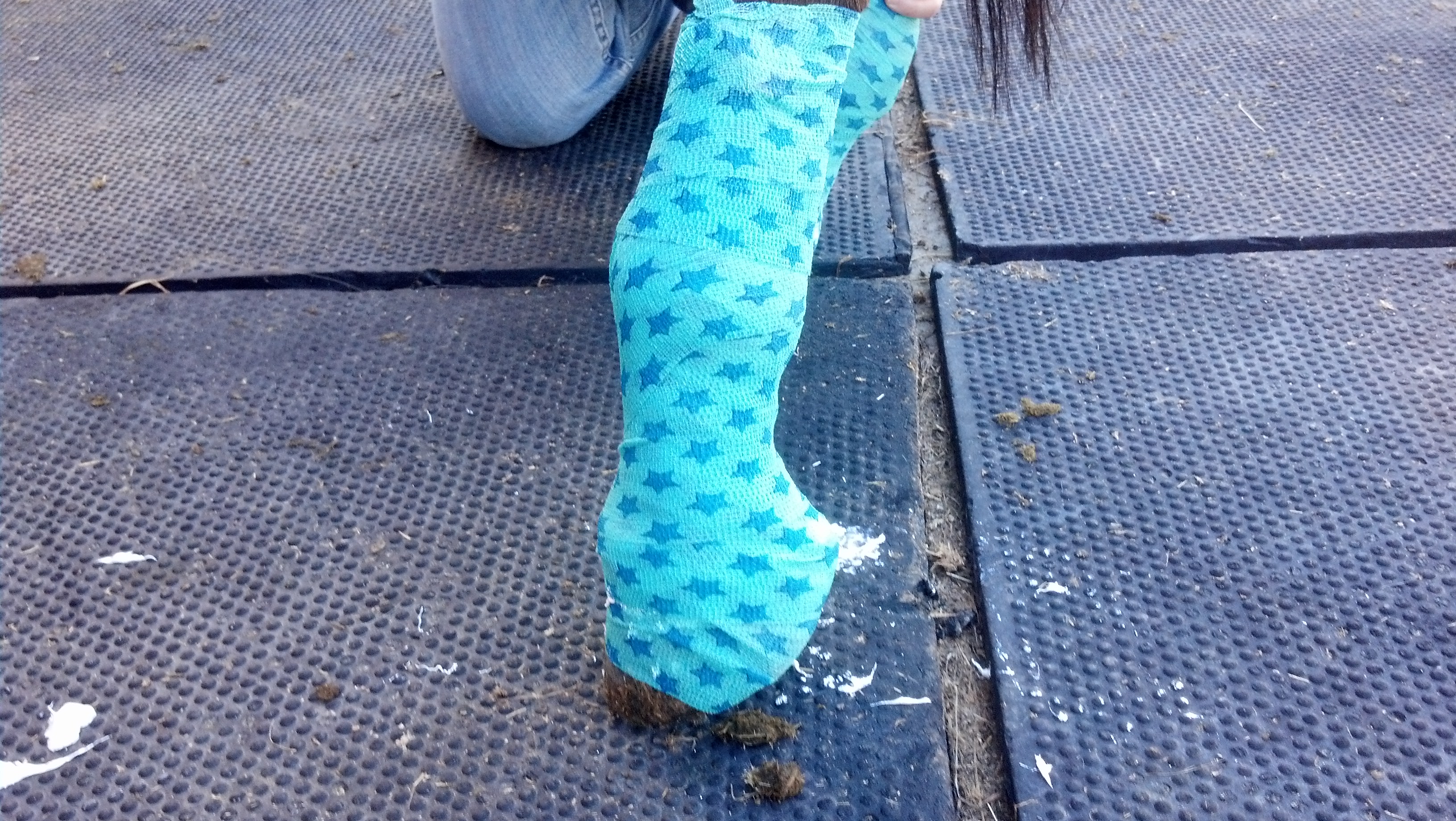 Scabs in pastern area-Scratches or ‘mud fever’