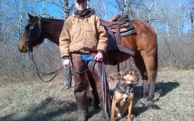 Can Hoof Hand Spray(Miracle spray – Ting spray) be used to reset humans and dogs meridians just like it does for horses?