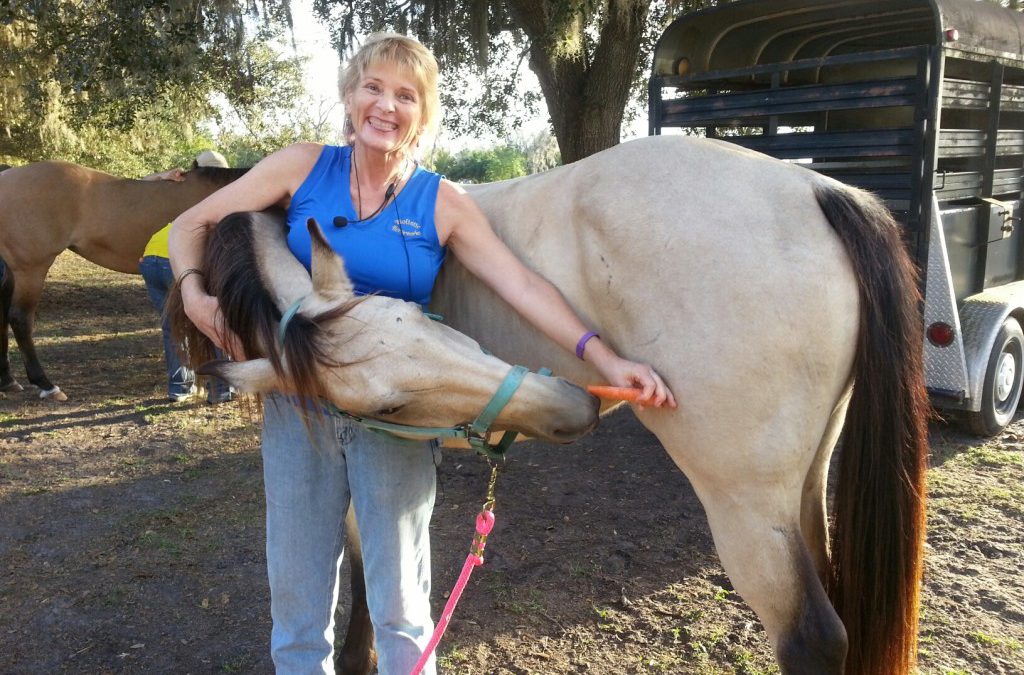 Love riding your horse? Here is how to help them be more comfortable in their bodies and be rideable into their 30’s